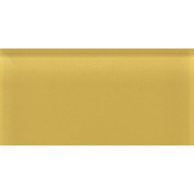 Daltile GR16361P Honey Bee Glass Reflections Glass Reflections Wall Tile, Honey Bee, 3 x 6 gr16361p
