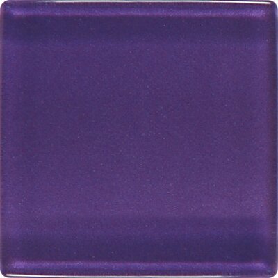 Daltile Isis Mystical Grape 12 in. x 12 in. Glass Mosaic Wall Tile IS1811MS1P