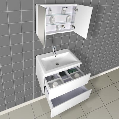 DreamLine Modern 23.6-in. Single Bathroom Vanity with Medicine