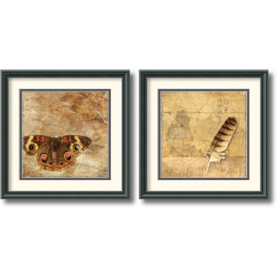 Amanti Art DSW420419 Moth and Owl Feather by Susan Friedman Framed Ar
