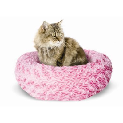 cat products picture