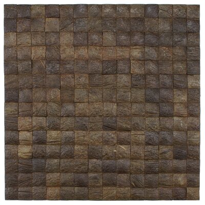 Natural 16-1/2 x 16-1/2 Convex Coconut Mosaic Wall Tile in Espresso