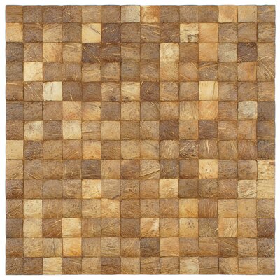 Natural 16-1/2 x 16-1/2 Convex Coconut Mosaic Wall Tile