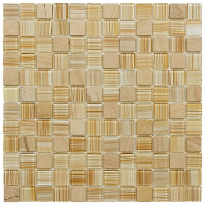 Chroma 11-1/2 x 11-1/2 Square Glass and Stone Mosaic Wall Tile in Butterscotch