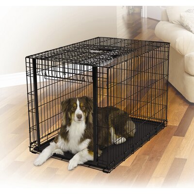 Midwest Metal Ovation Crate W/ Up & Away Door 31 X 22 X 24 dog kennel