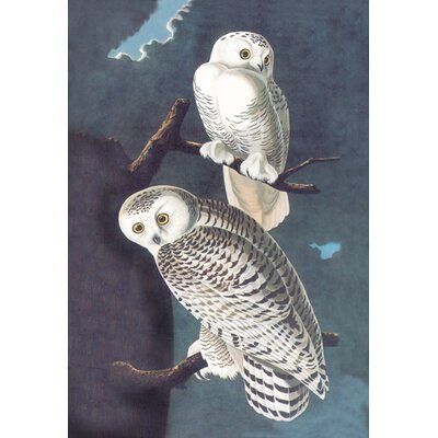 Snowy Owl Canvas Art Size: 24 H x 36 W x 0.75 D