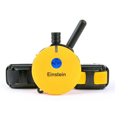  E-Collar Technologies Einstein Remote 2 Dog Trainer 3/4 mile 