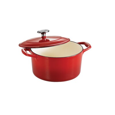 Enamel Covered Cast Iron Cookware Reviews