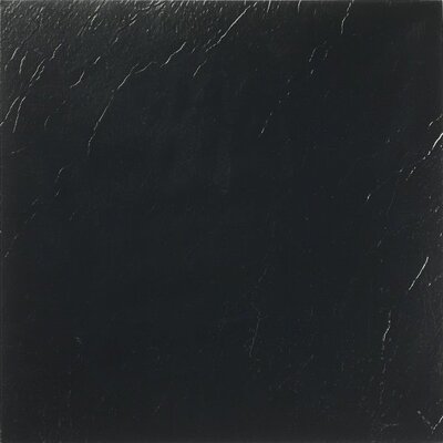 Nexus 12 x 12 Vinyl Tile in Black