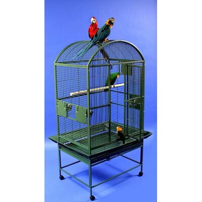 A & E Cage Company Green Palace Dometop Bird Cage, 32 L X 23 W X 63 H ()