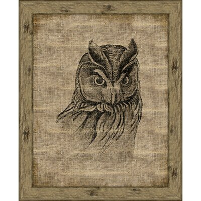 Big Fish Art Owl on Distressed Antique Linen Wall Art