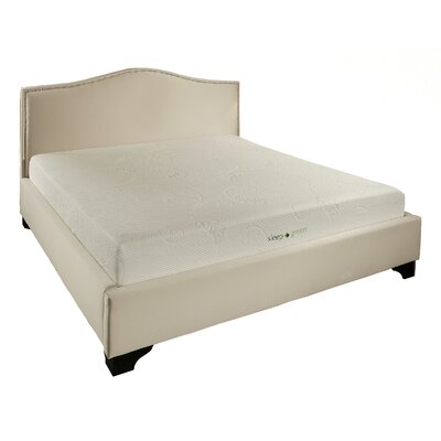 Abbyson Comfort 'Sleep-Green' 8-inch Full-size Memory Foam Mattress