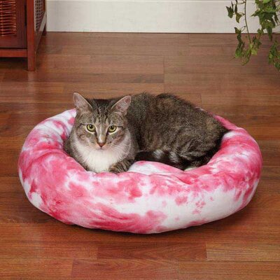 cat products picture