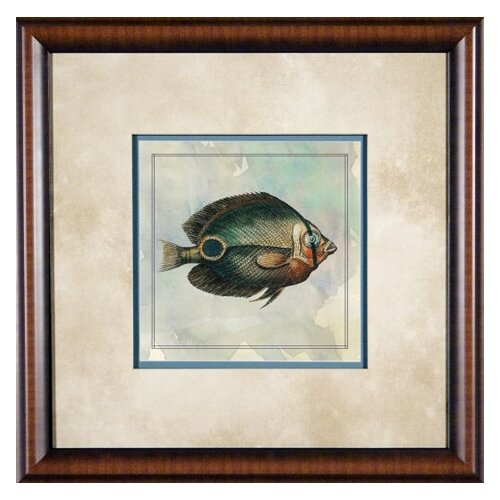 Phoenix Galleries Tropical Fish 6 Framed Print   21x 21